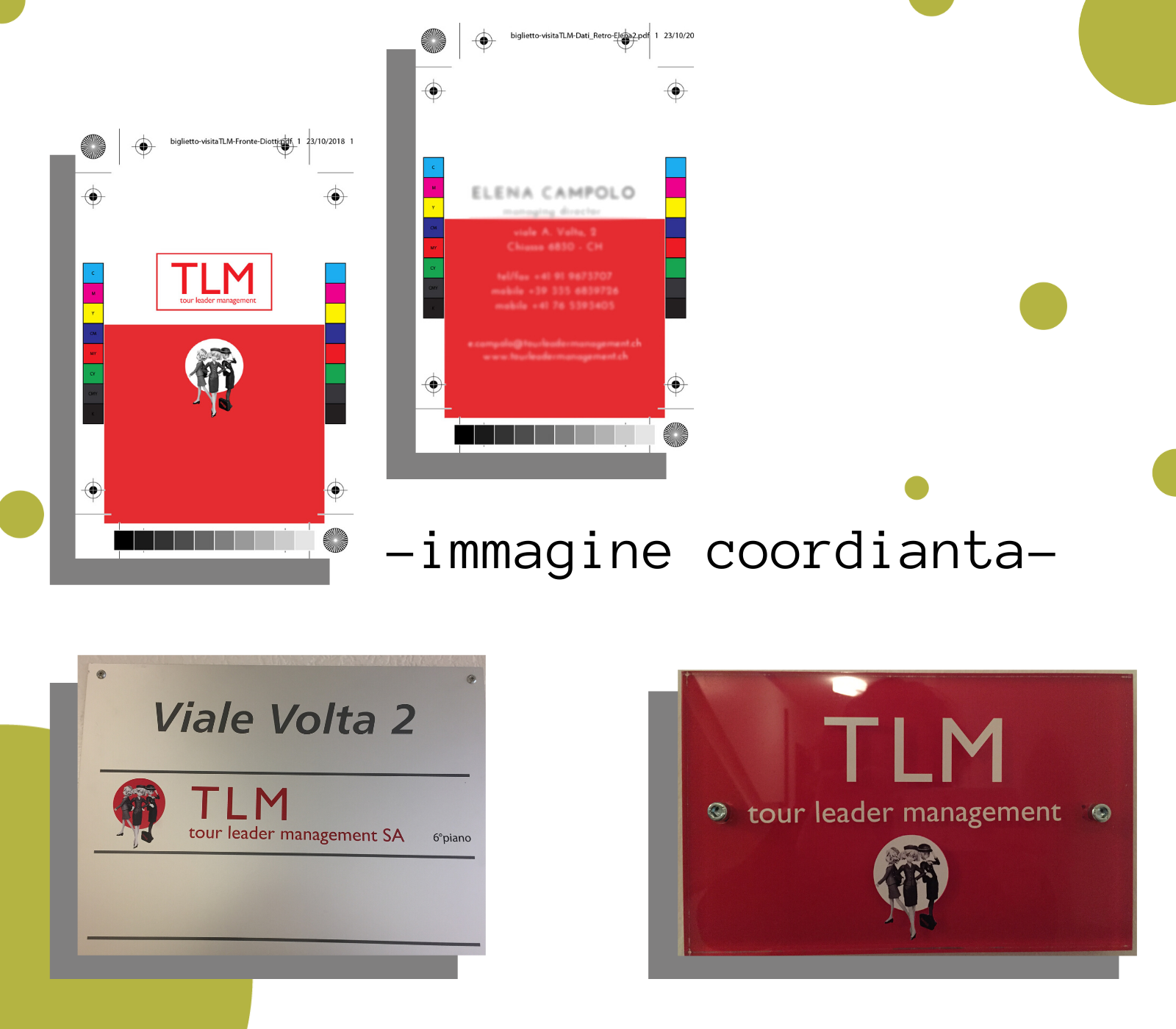 TLM immagine coordinata